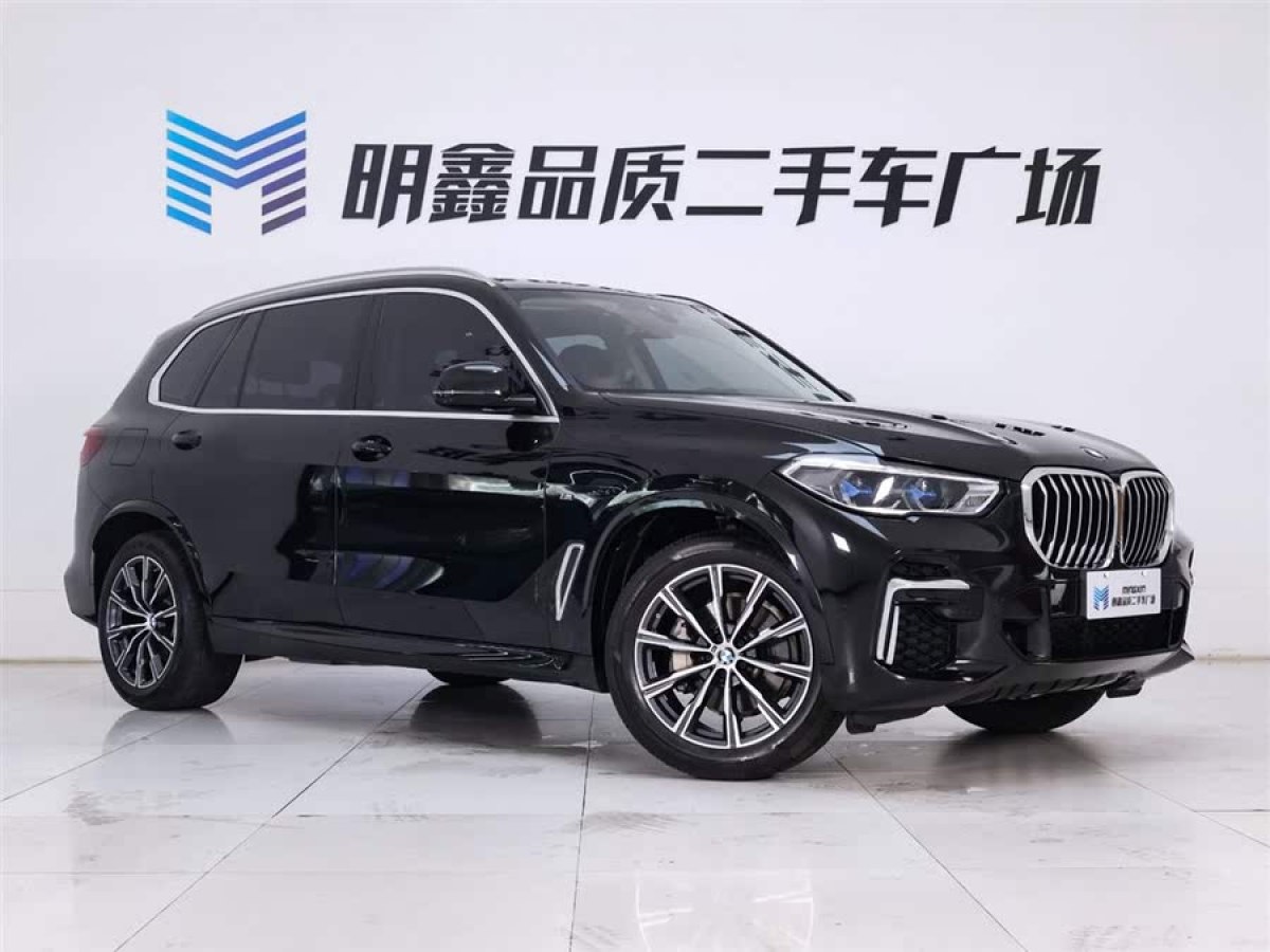 寶馬 寶馬X5  2022款 改款 xDrive 30Li 尊享型M運(yùn)動(dòng)套裝圖片