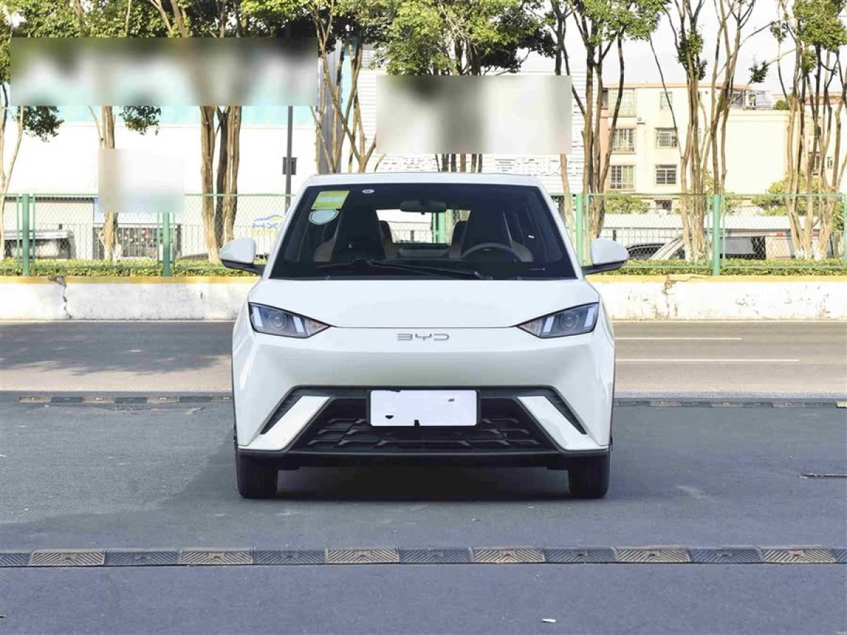 比亞迪 海鷗  2024款 榮耀版 305km 活力版圖片