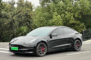 Model 3 特斯拉 Performance高性能全轮驱动版