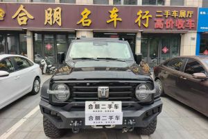 坦克300 坦克 2.0T 坦克游俠
