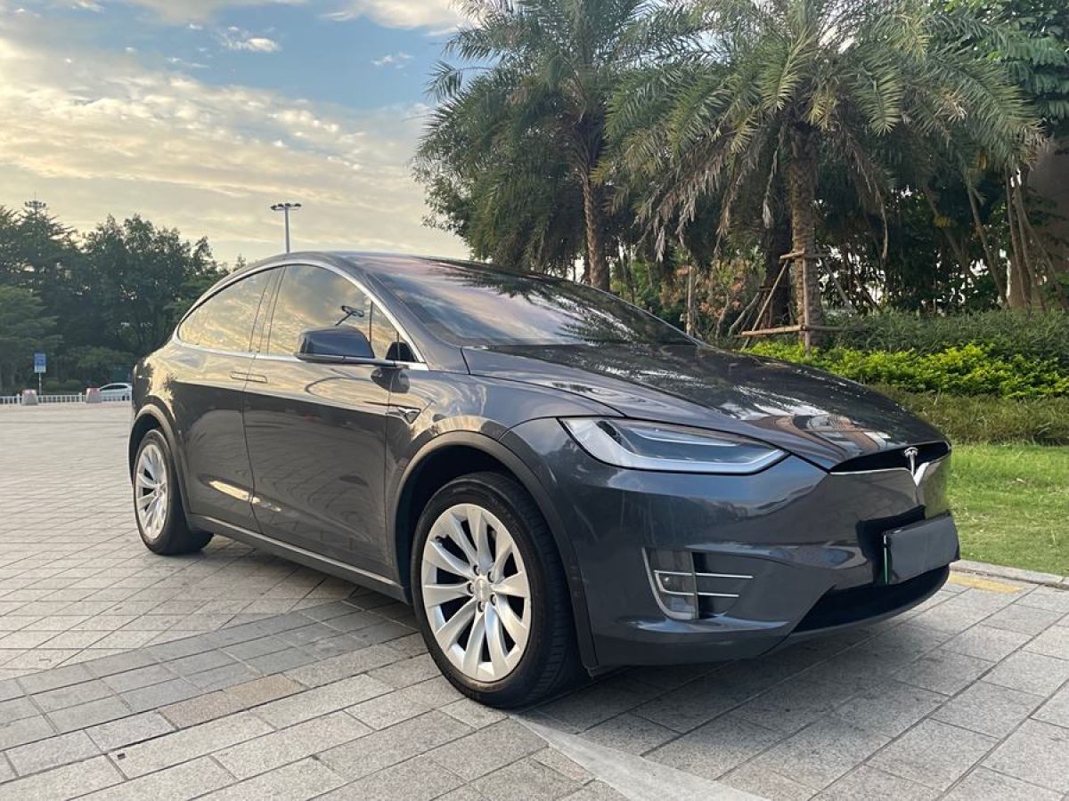 特斯拉 Model X  2019款 長續(xù)航版圖片