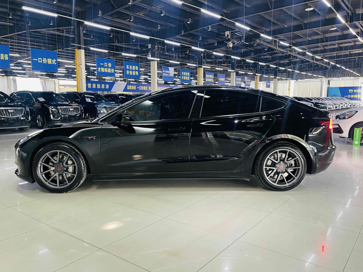 2021年3月特斯拉 Model 3  2021款 改款 標(biāo)準(zhǔn)續(xù)航后驅(qū)升級(jí)版