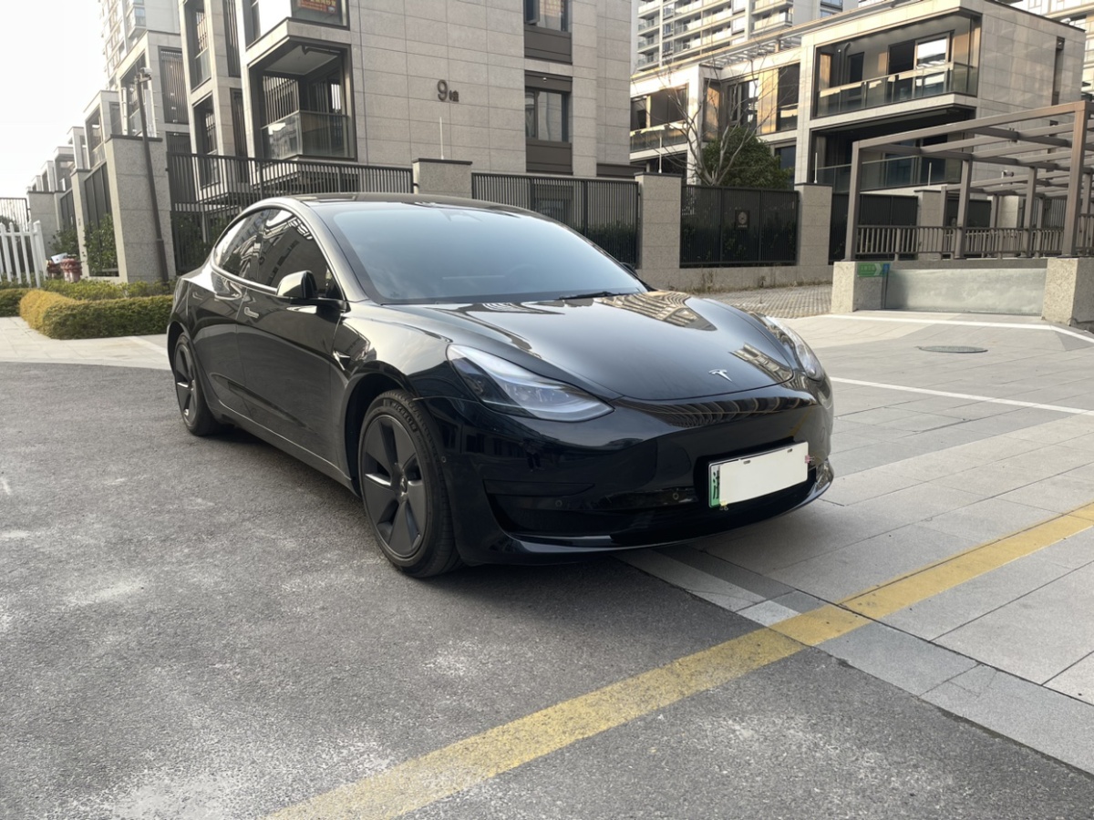 特斯拉 Model 3  2019款 標準續(xù)航后驅升級版圖片