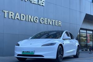 Model 3 特斯拉 后轮驱动版