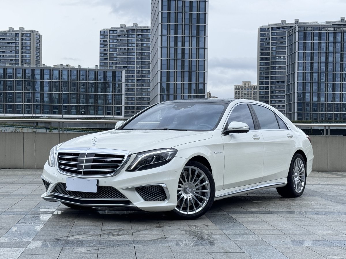 奔馳 奔馳S級(jí)AMG  2014款 AMG S 65 L圖片