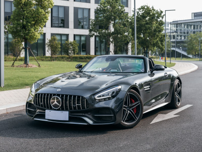 2020年8月 奔馳 奔馳AMG GT AMG GT C圖片