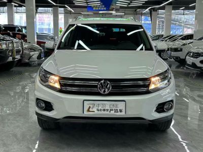 2015年1月 大众 途欢(进口) 2.0 TSI 舒适版图片