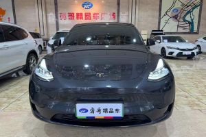 Model Y 特斯拉 Performance高性能版