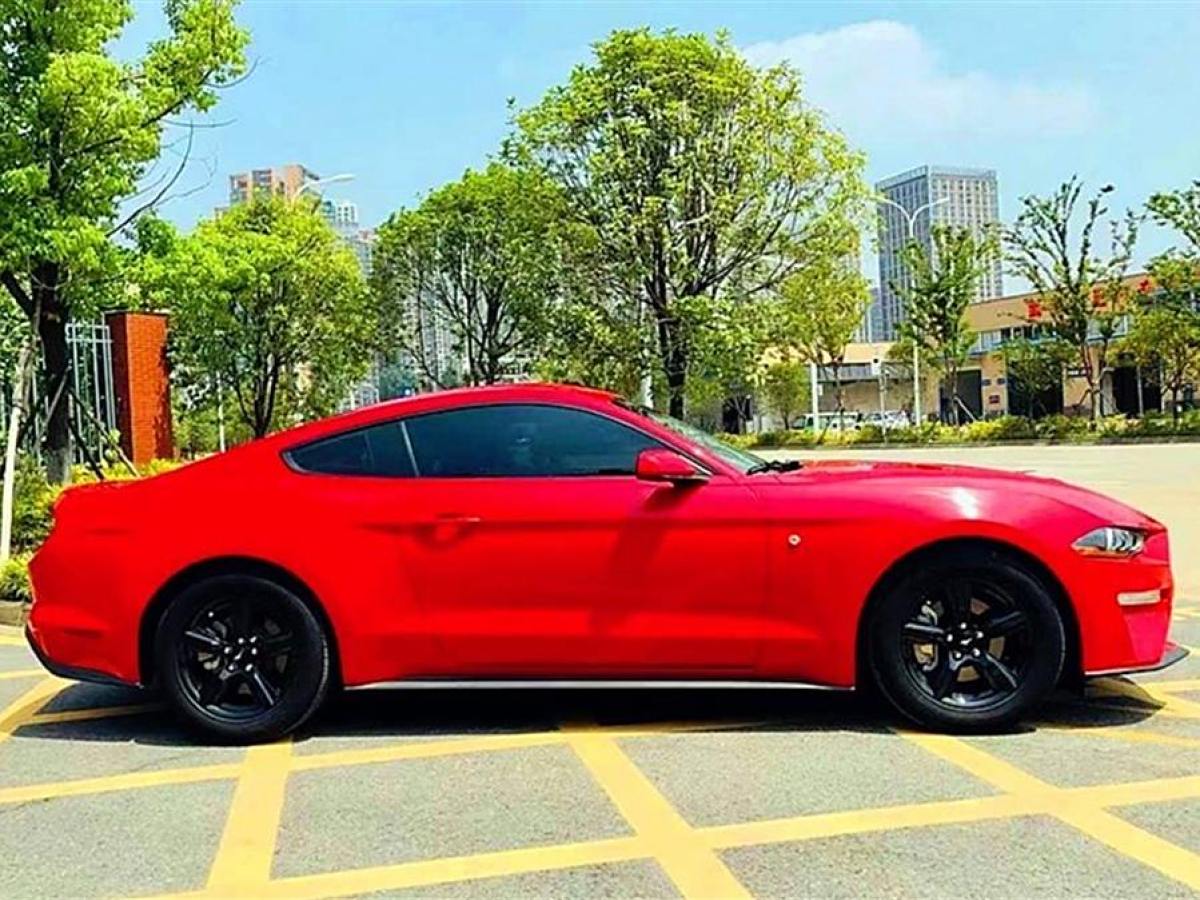 福特 Mustang  2017款 2.3T 性能版圖片