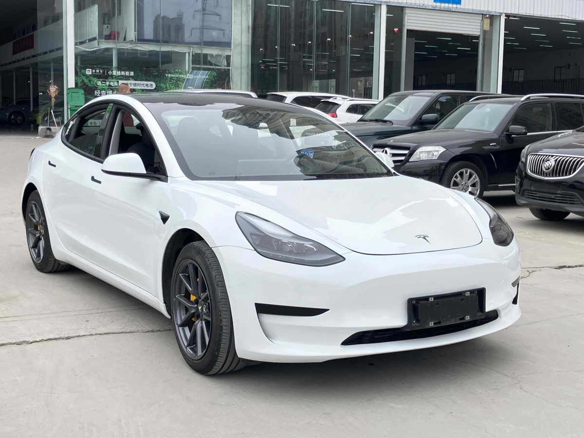 特斯拉 Model 3  2021款 標(biāo)準(zhǔn)續(xù)航后驅(qū)升級(jí)版 3D6圖片