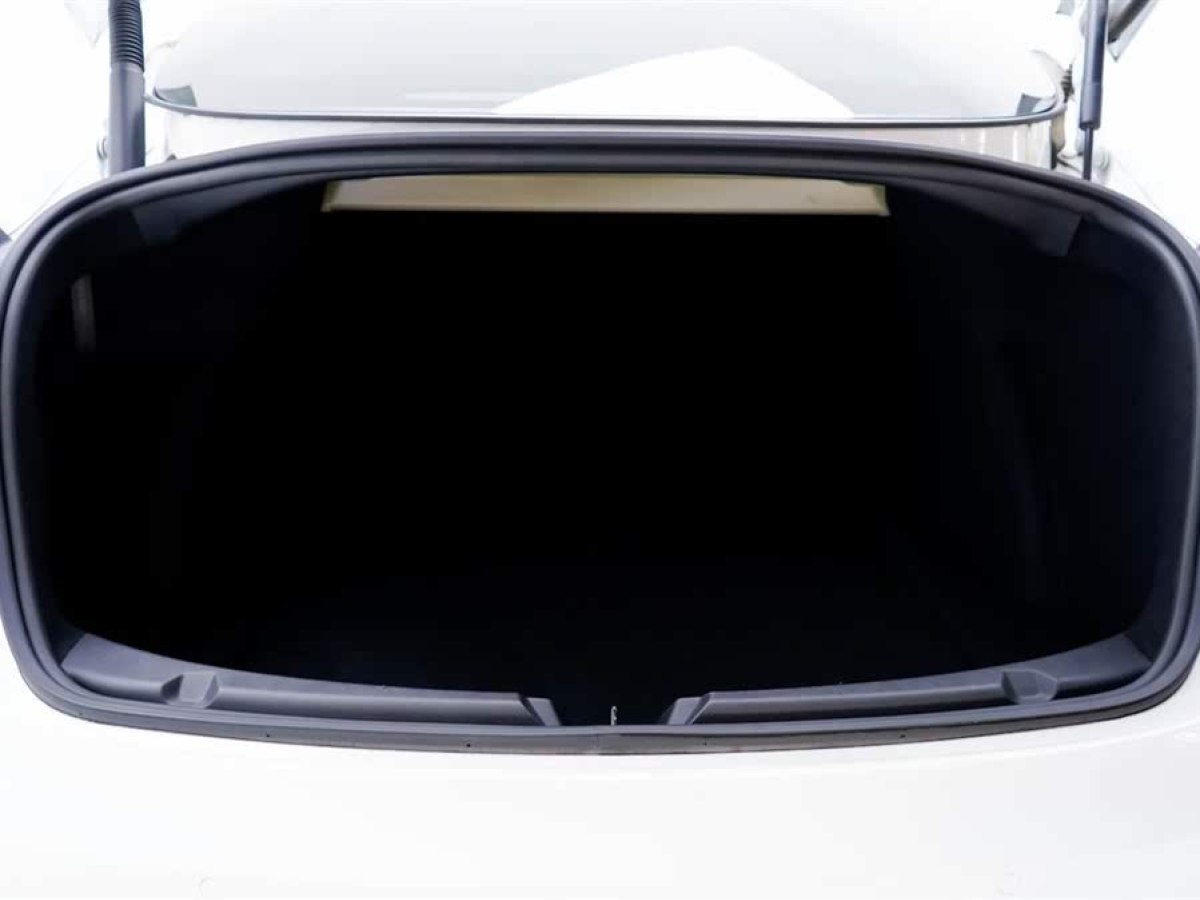 特斯拉 Model 3  2021款 改款 Performance高性能全輪驅(qū)動版圖片