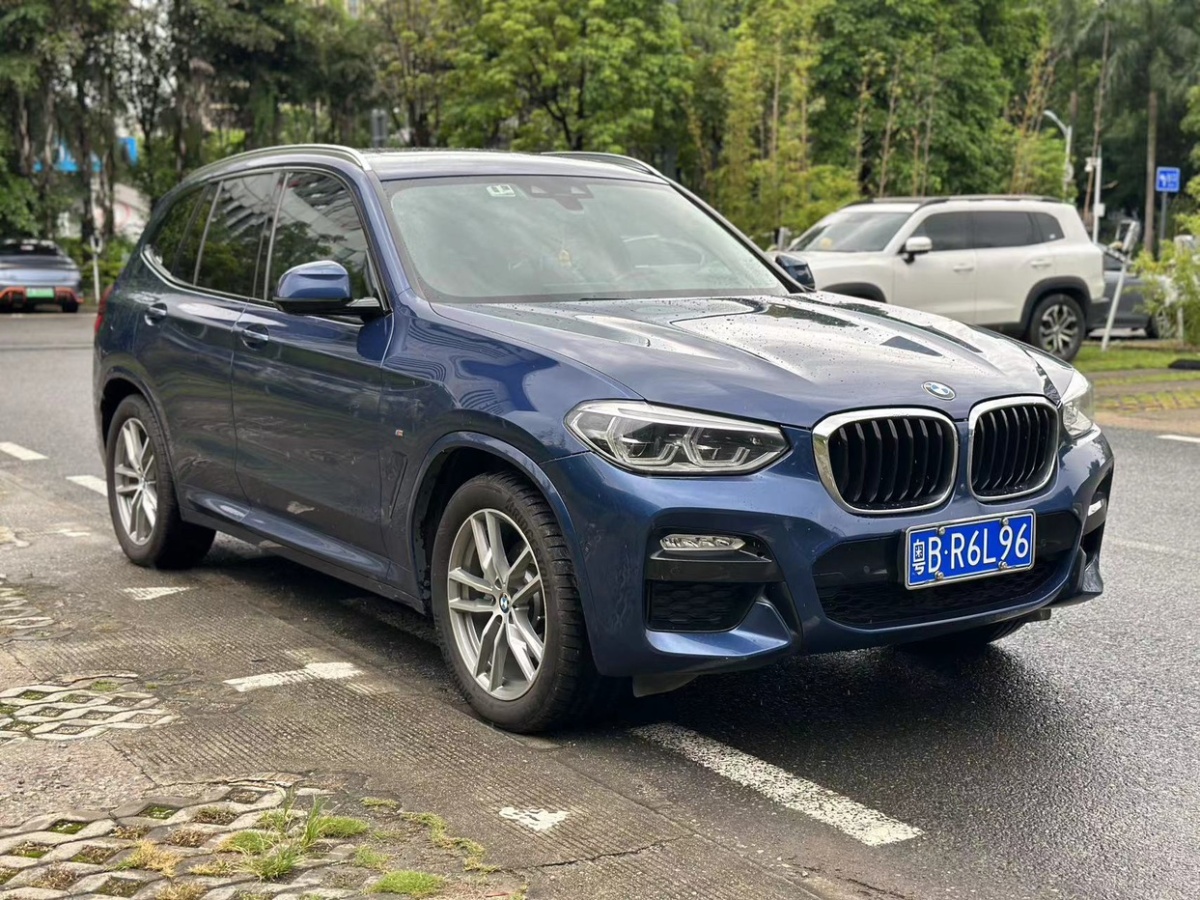 寶馬 寶馬X3  2018款 xDrive30i 領(lǐng)先型 M運(yùn)動(dòng)套裝 國V圖片