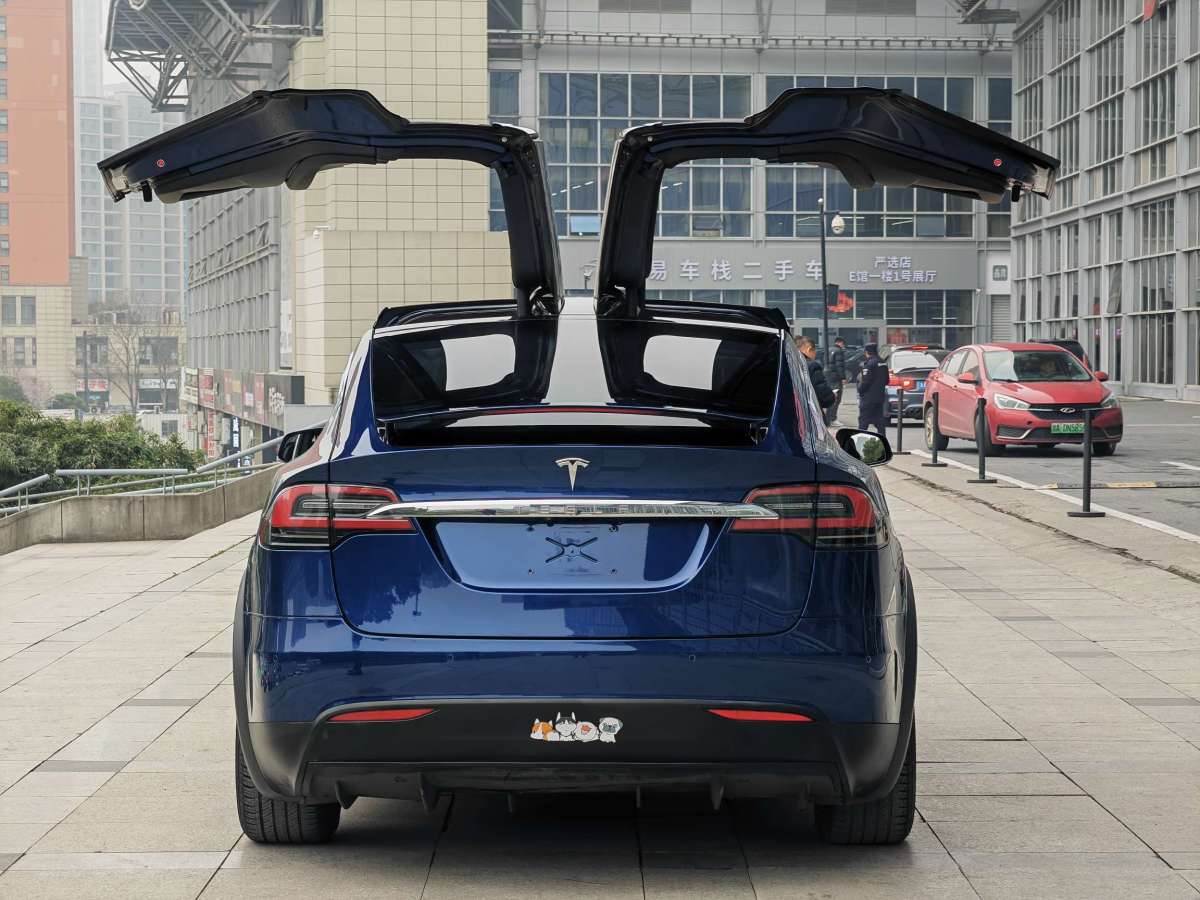 特斯拉 Model X  2019款 長續(xù)航版圖片