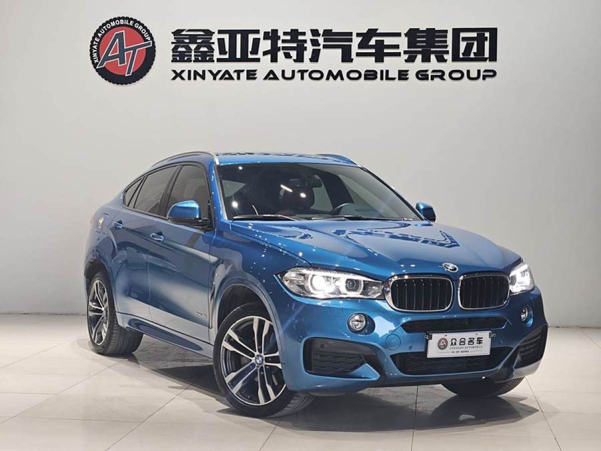 寶馬 寶馬X6  2018款 xDrive35i 領(lǐng)先型圖片