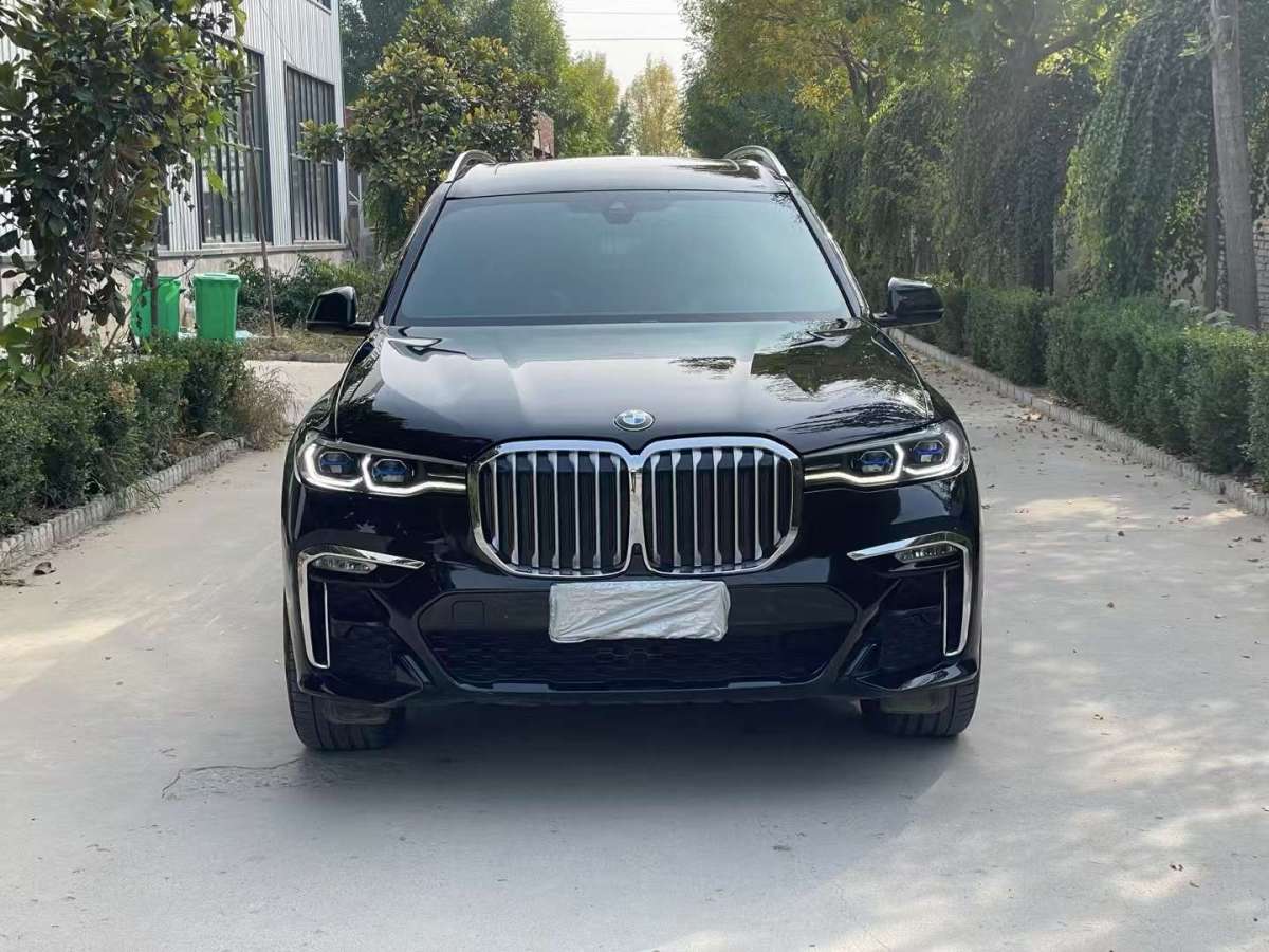 寶馬 寶馬X7  2021款 xDrive40i 領(lǐng)先型豪華套裝圖片