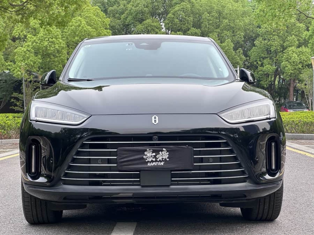 賽力斯 問界M5  2022款 四驅至臻版圖片