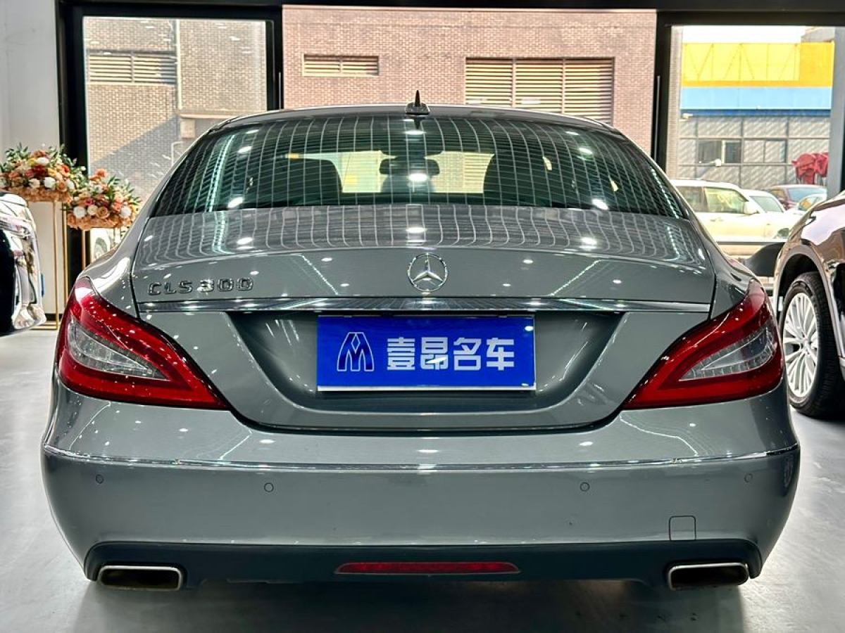 奔馳 奔馳CLS級(jí)  2012款 CLS 300 CGI圖片