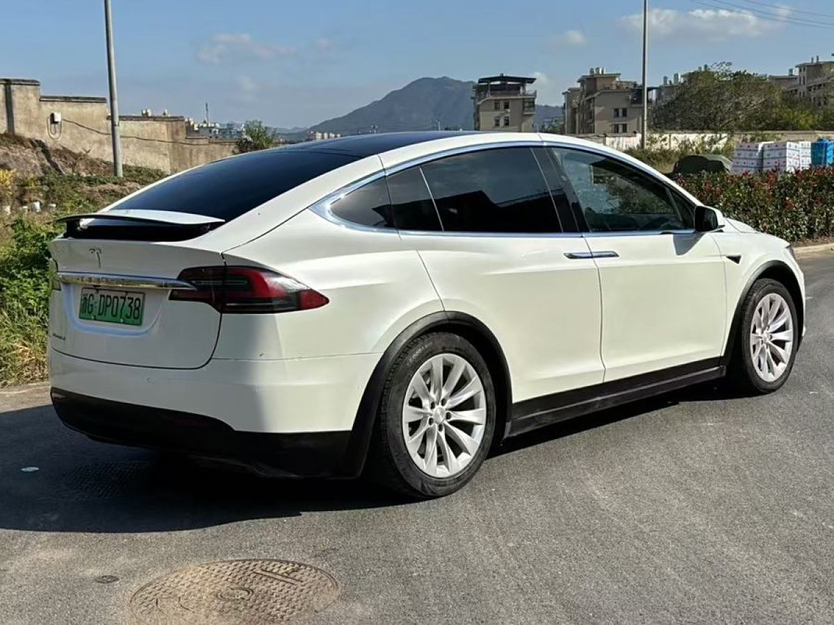 特斯拉 Model X  2016款 Model X 75D圖片