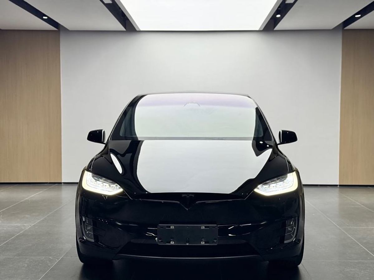 特斯拉 Model X  2019款 長續(xù)航版圖片