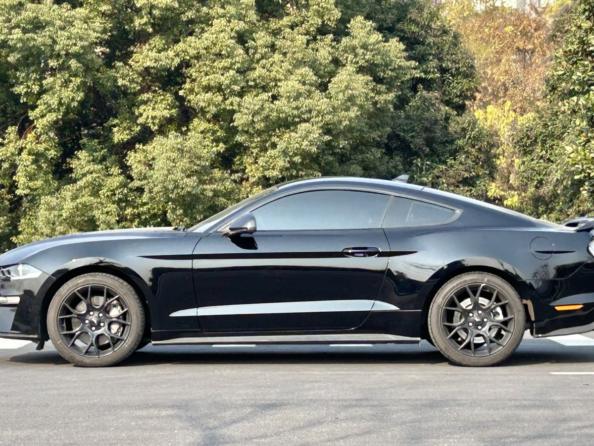 福特 Mustang  2021款 2.3L EcoBoost圖片