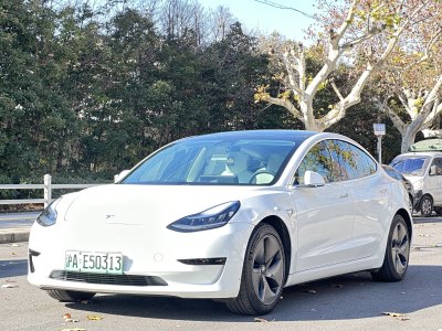 2020年6月 特斯拉 Model 3 標(biāo)準(zhǔn)續(xù)航后驅(qū)升級版圖片