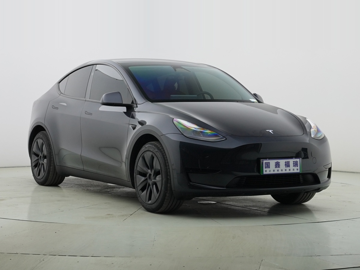 特斯拉 Model Y  2020款 改款 長續(xù)航后輪驅(qū)動版圖片