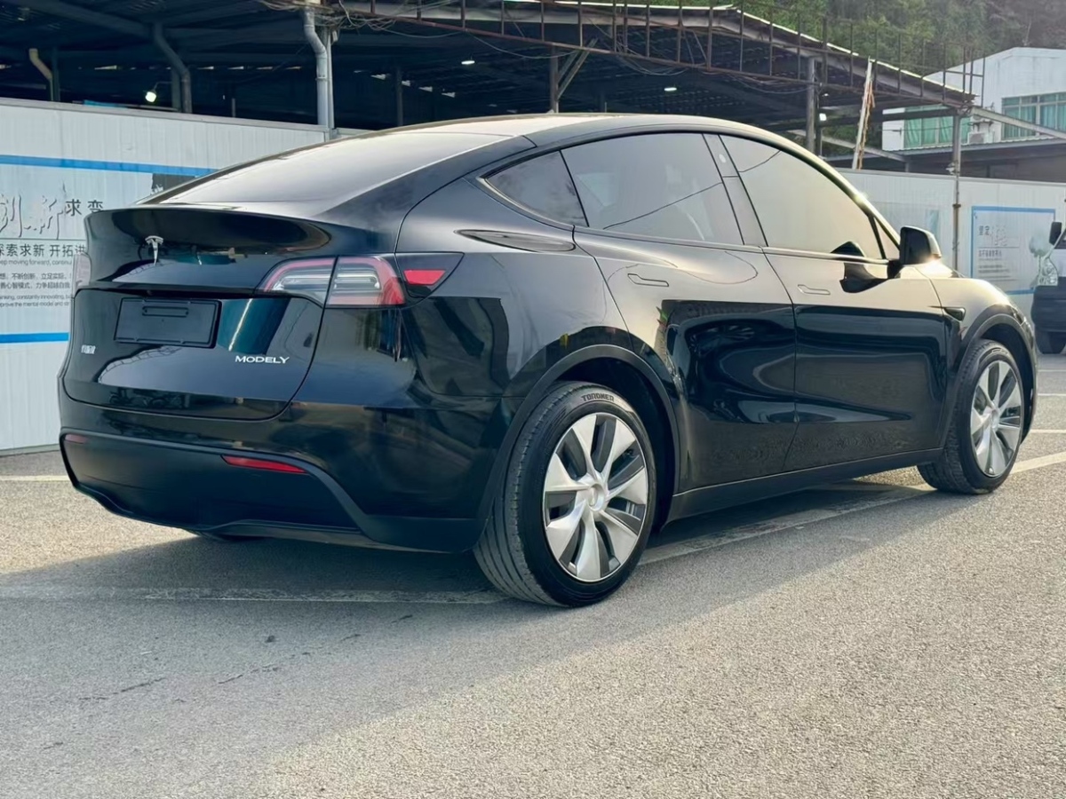 特斯拉 Model Y  2021款 標(biāo)準(zhǔn)續(xù)航后驅(qū)版圖片