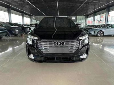 2024年1月 奧迪 奧迪Q5 e-tron 50 e-tron quattro 光耀型 機(jī)甲套裝圖片