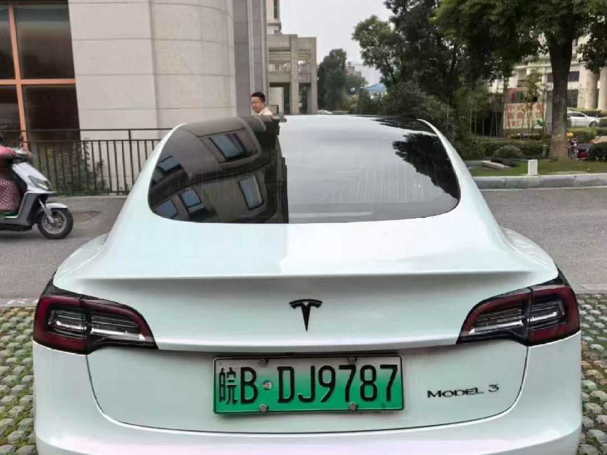 特斯拉 Model 3  2021款 標(biāo)準(zhǔn)續(xù)航后驅(qū)版圖片