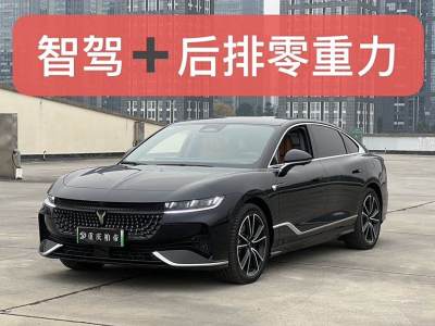 2024年1月 嵐圖 嵐圖追光 PHEV 四驅(qū)超長續(xù)航旗艦版圖片