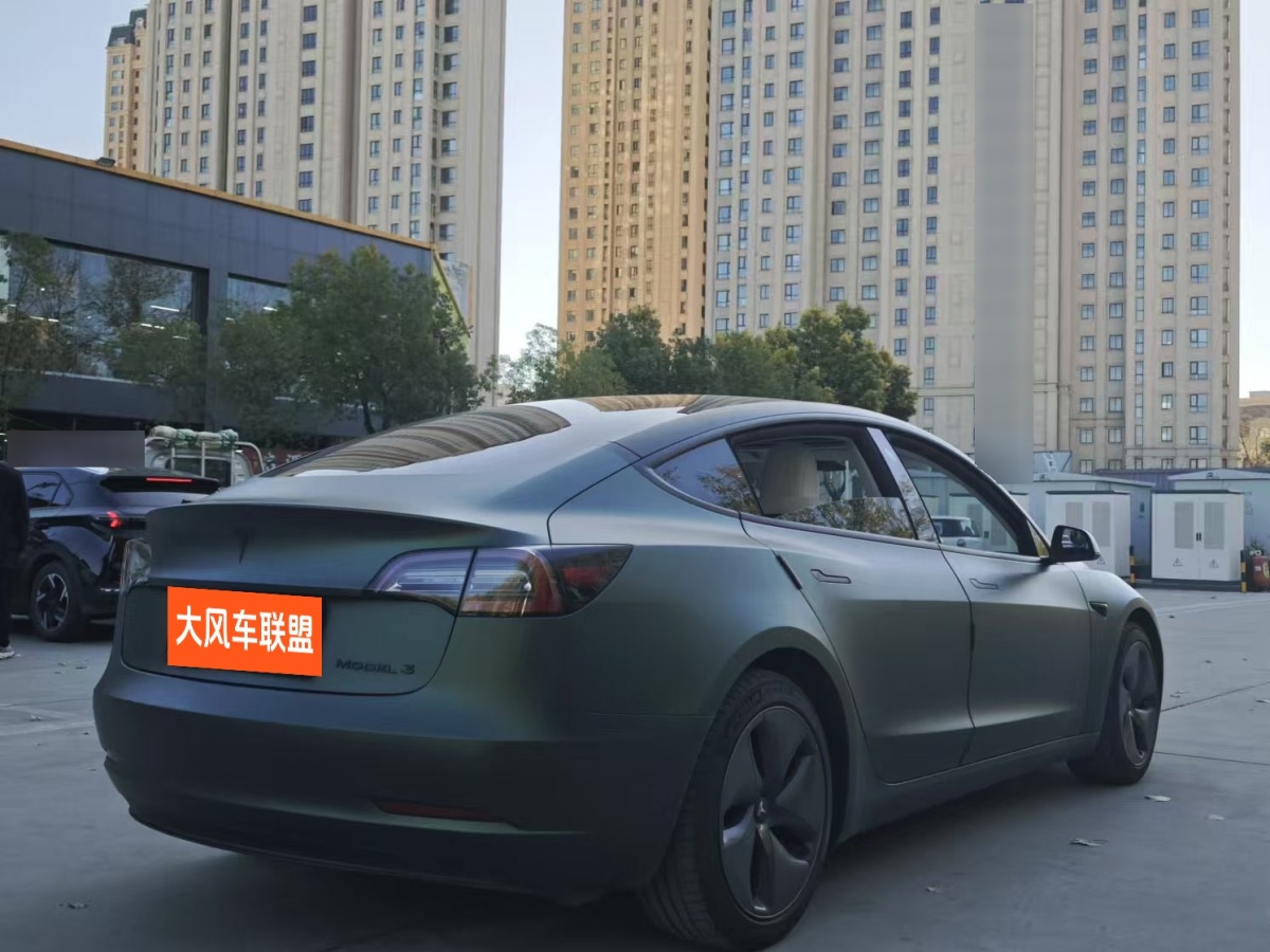 特斯拉 Model 3  2020款 改款 長續(xù)航后輪驅(qū)動(dòng)版圖片