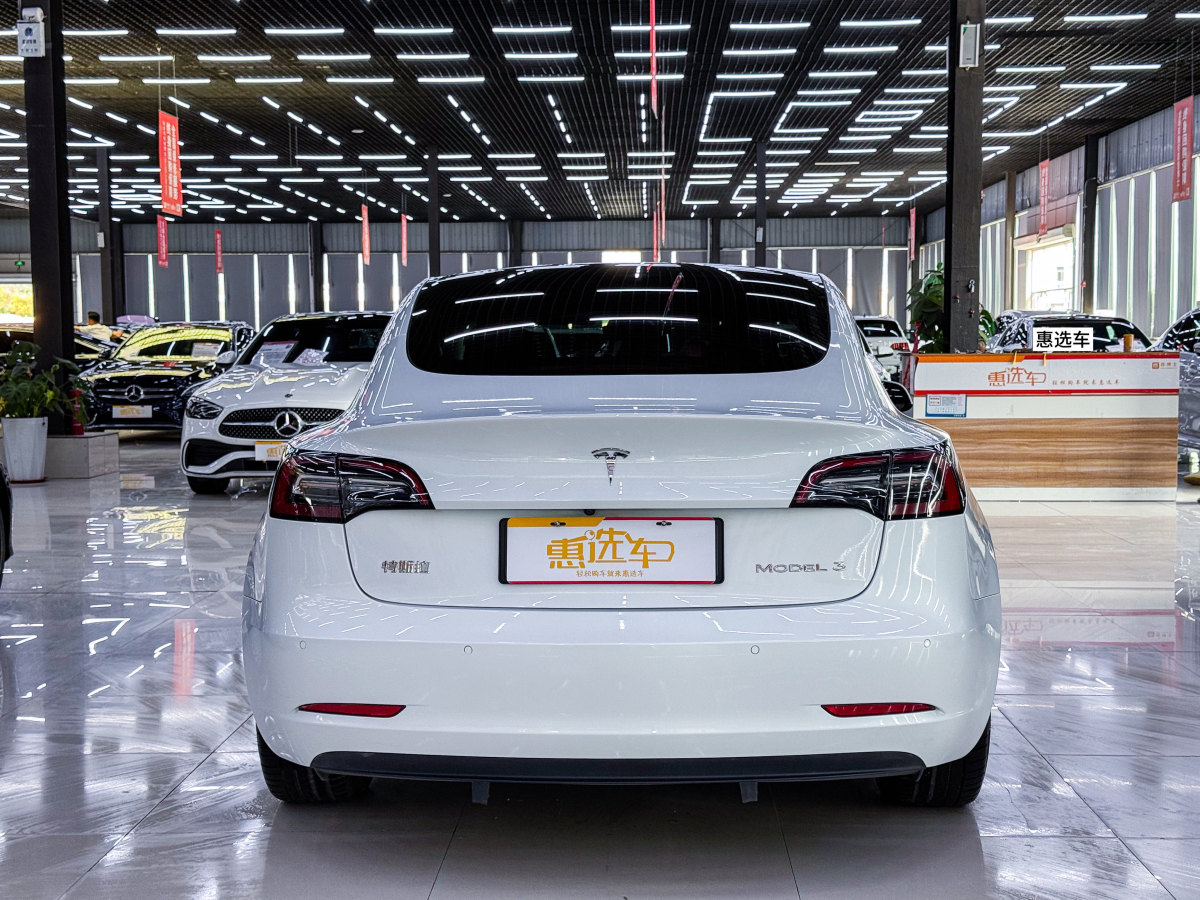 特斯拉 Model 3  2021款 標(biāo)準(zhǔn)續(xù)航后驅(qū)升級版 3D6圖片