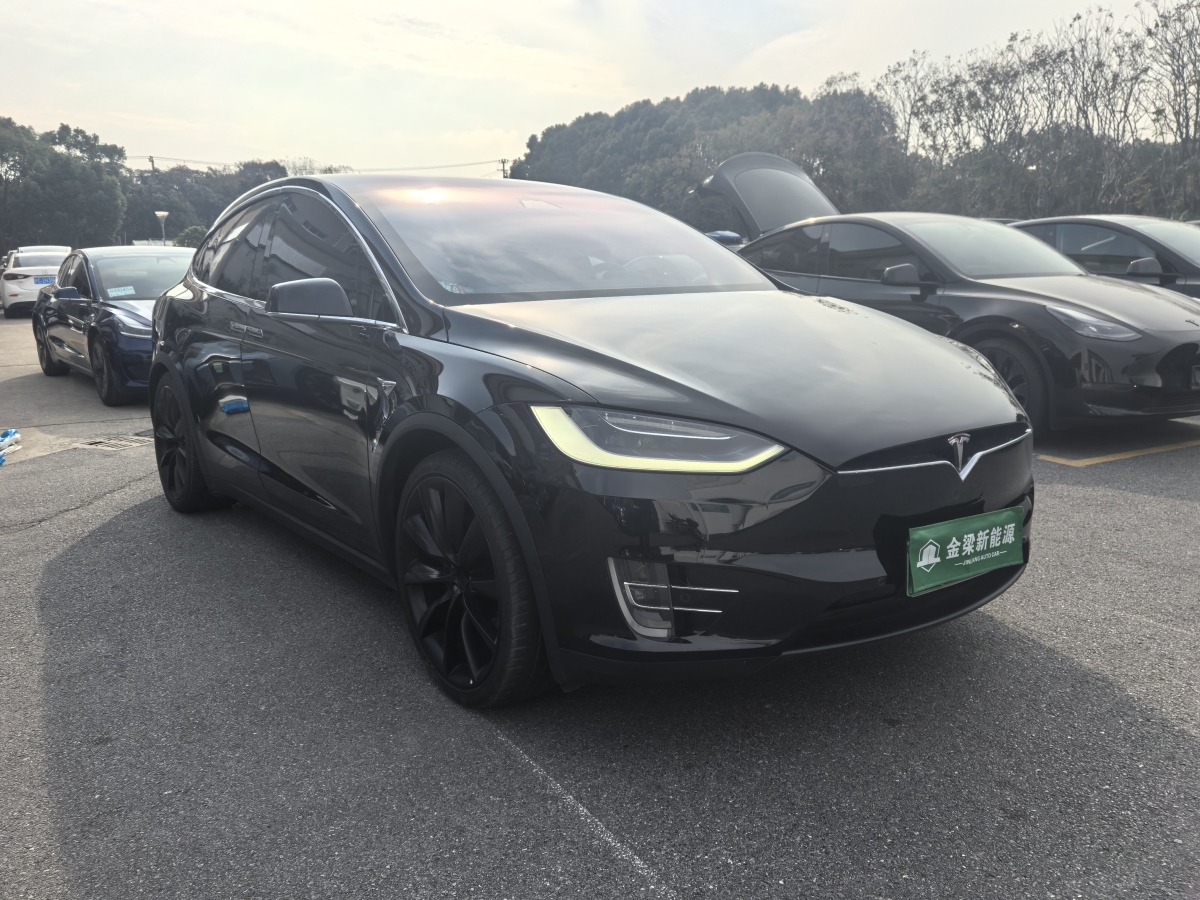 特斯拉 Model X  2017款 Model X 100D 長(zhǎng)續(xù)航版圖片