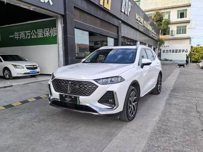 2022年8月 WEY 拿鐵DHT-PHEV 1.5T 四驅(qū)超大杯圖片