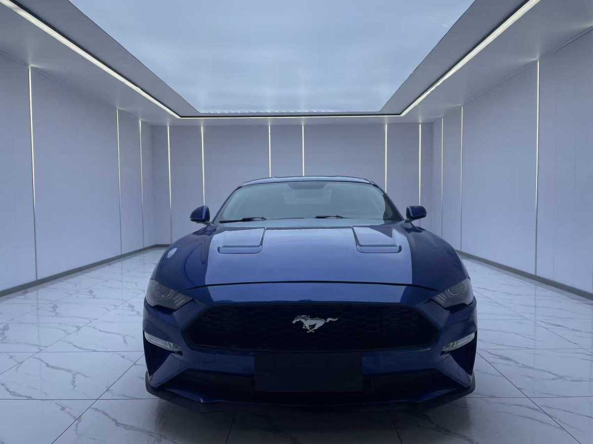 福特 Mustang  2016款 2.3T 性能版圖片