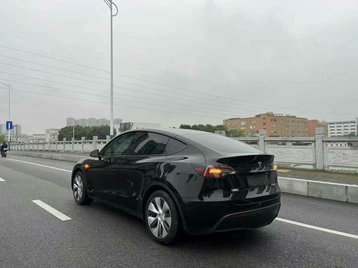 特斯拉 Model S  2023款 三電機(jī)全輪驅(qū)動(dòng) Plaid版圖片