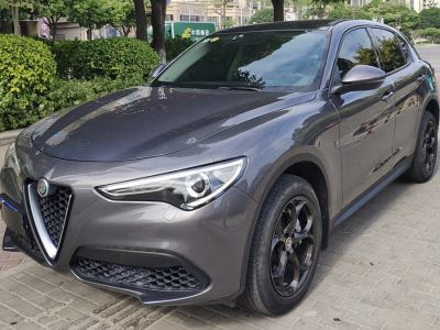 2018年10月 阿尔法·罗密欧 Stelvio 2.0T 200HP 精英版图片