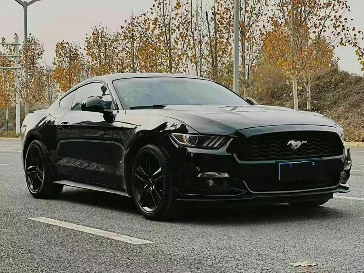 福特 Mustang  2015款 2.3T 性能版圖片