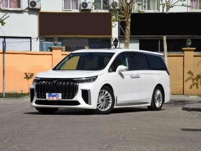 2023年10月 嵐圖 夢想家 PHEV 超長續(xù)航旗艦版圖片