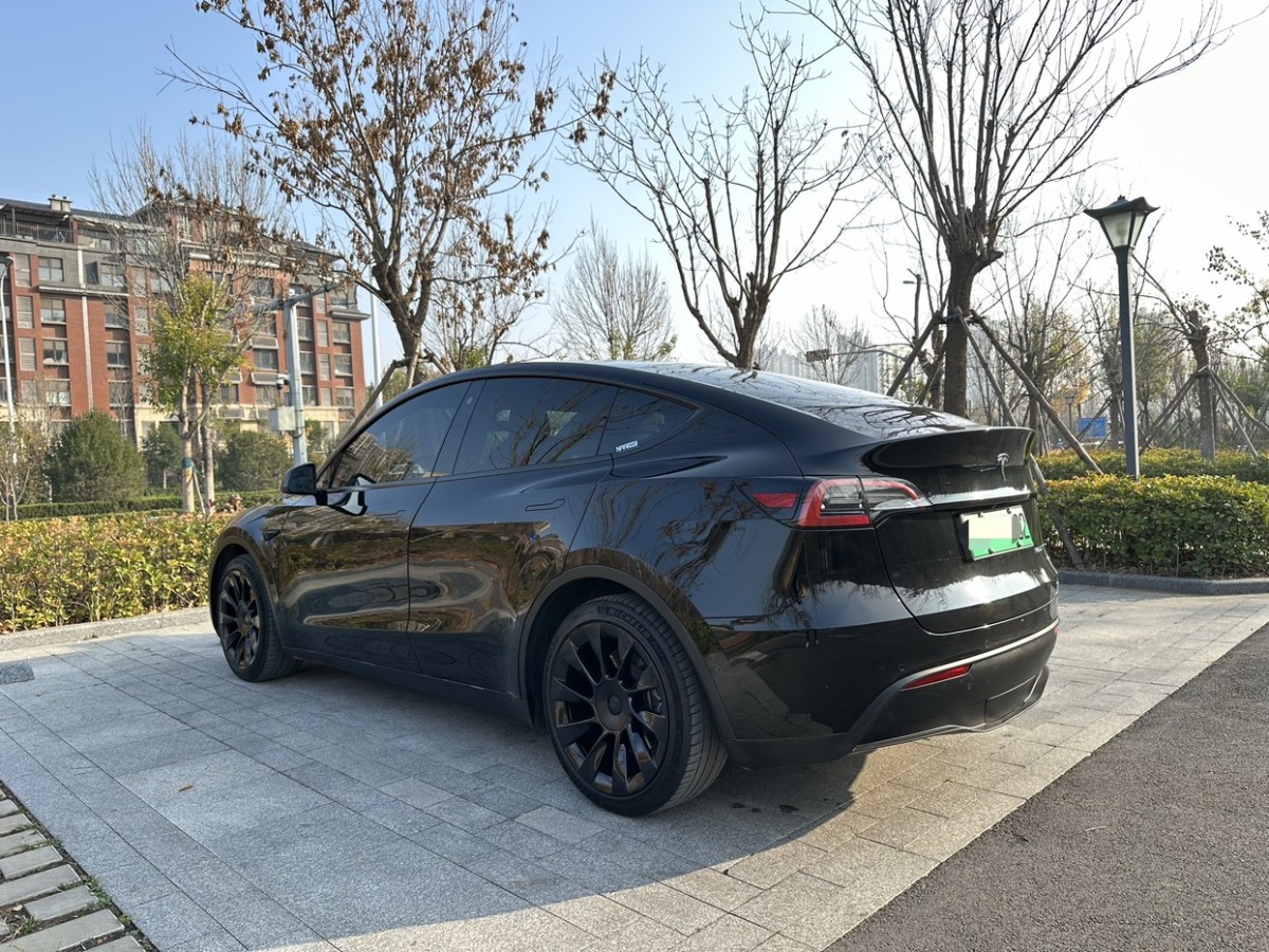 特斯拉 Model 3  2021款 改款 標準續(xù)航后驅升級版圖片