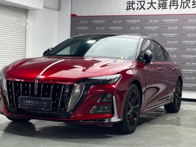 2023年4月 紅旗 紅旗H6 2.0T 致臻版圖片
