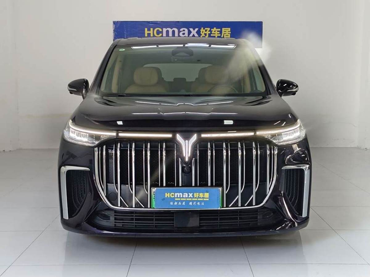 嵐圖 夢想家  2024款 PHEV 超長續(xù)航旗艦版圖片