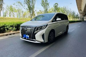M8 廣汽傳祺 領(lǐng)秀系列 390T 尊貴版