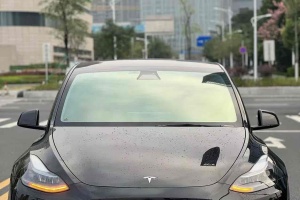 Model 3 特斯拉 改款 標(biāo)準(zhǔn)續(xù)航后驅(qū)升級(jí)版