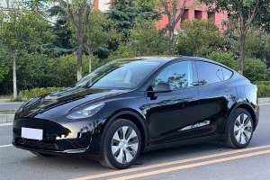 Model Y 特斯拉 改款 后輪驅(qū)動版