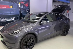 Model Y 特斯拉 改款 长续航后轮驱动版