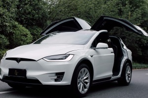 Model X 特斯拉 標準續(xù)航版