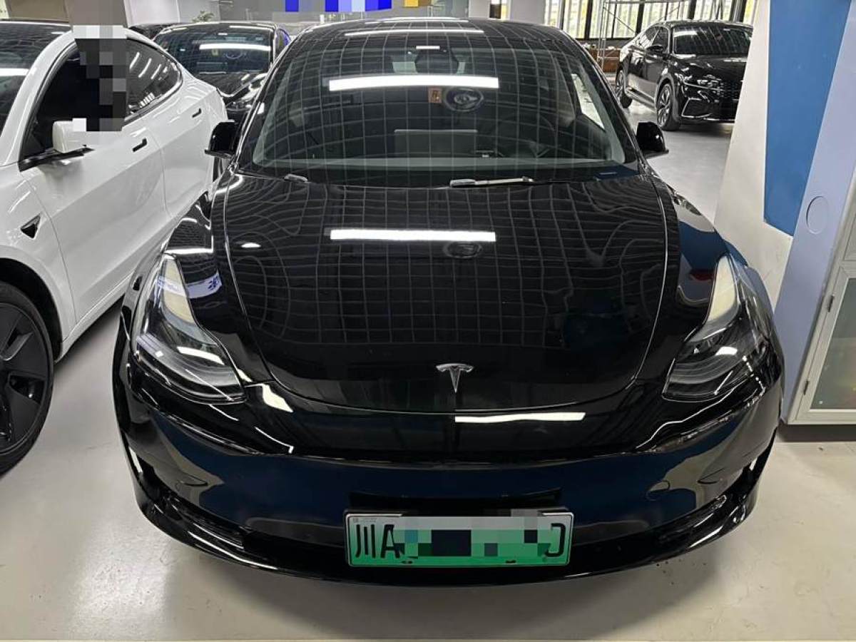 特斯拉 Model 3  2021款 改款 標(biāo)準(zhǔn)續(xù)航后驅(qū)升級(jí)版圖片