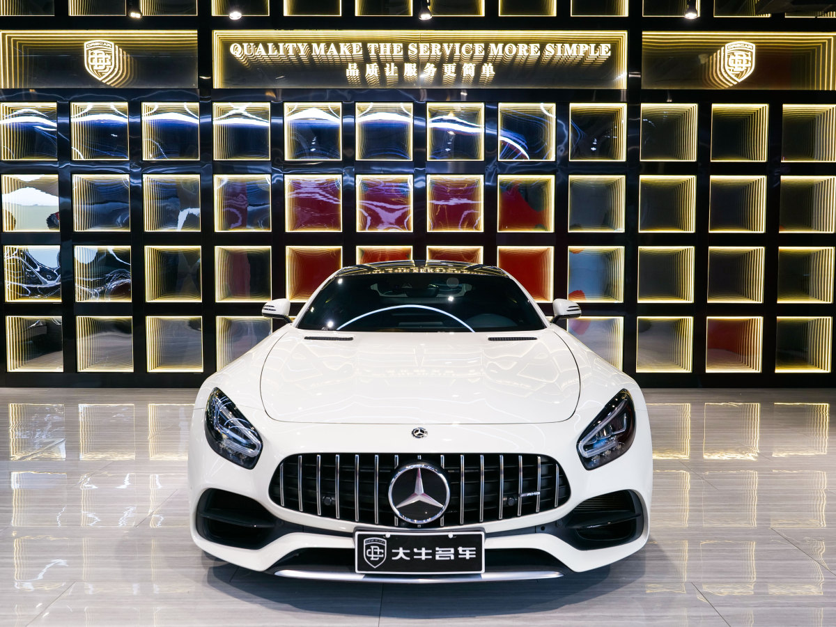 奔馳 奔馳AMG GT  2019款 AMG GT圖片