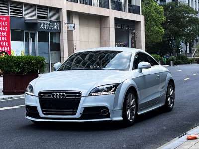 2013年10月 奧迪 奧迪TT(進口) TT Coupe 45 TFSI 白色經典版圖片